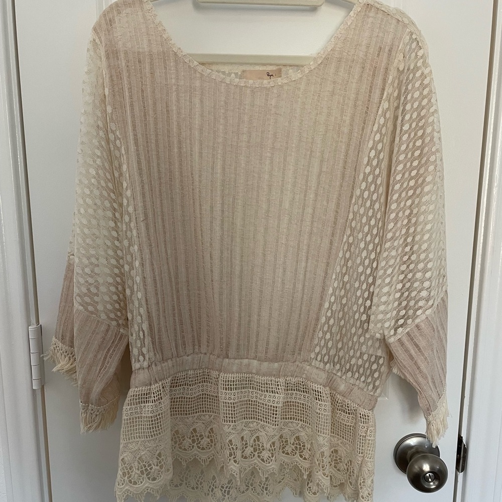 Sheer Top with beautiful detail